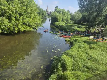 Ścieżki spacerowe i zieleń na terenie przystani